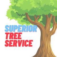 Superior Tree Service Co. image 1